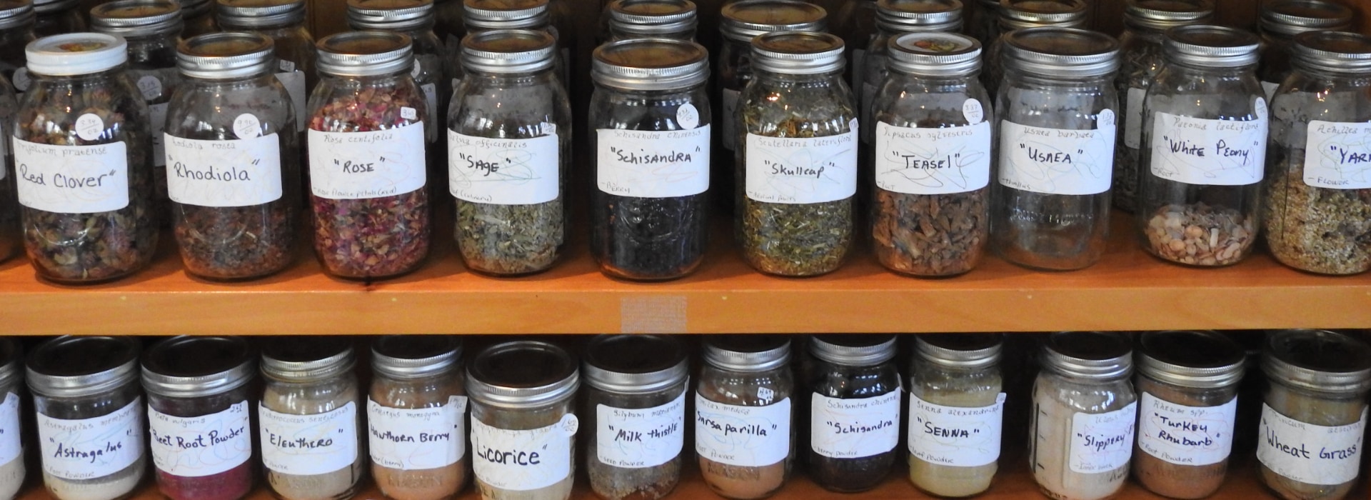 dandelion's apothecary medicinal herbs