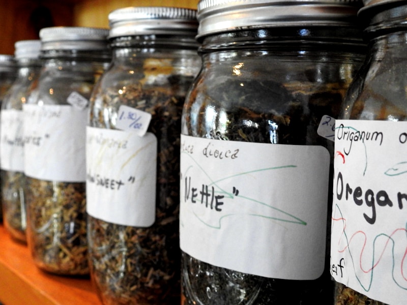 Dandelion's Apothecary Herb Shop