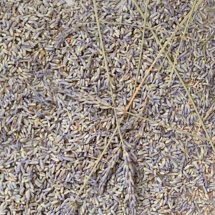 Lavender (dried flowers)