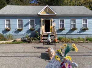 dandelion's apothecary store