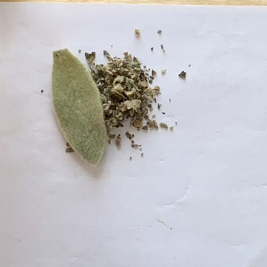 Mullein (dried leaf)