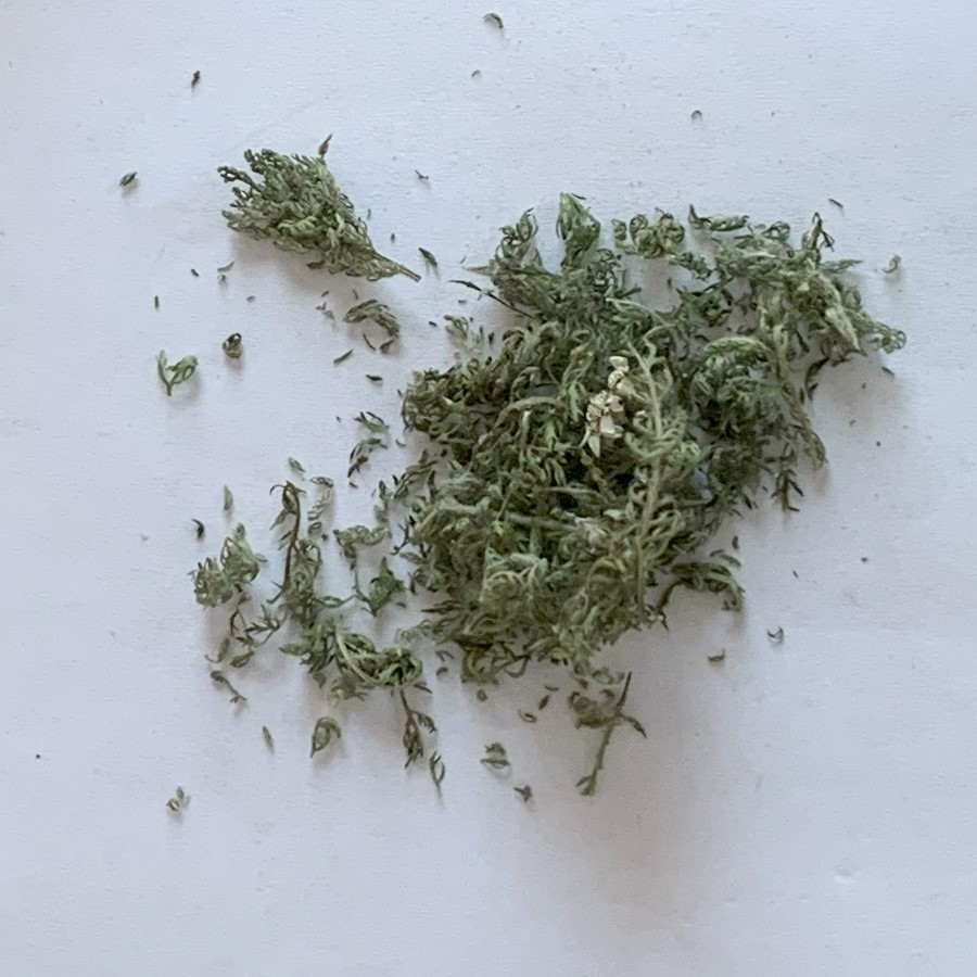 Yarrow (dried leaf)